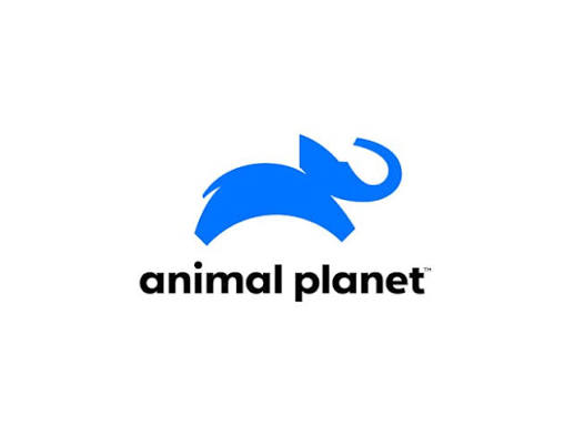 Animal Planet logo