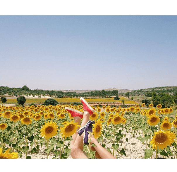 Intro to Instagram for Brands